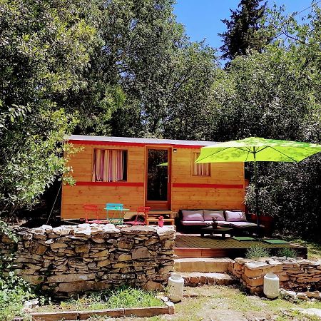 Nimes En Garrigues Bed & Breakfast Exterior photo